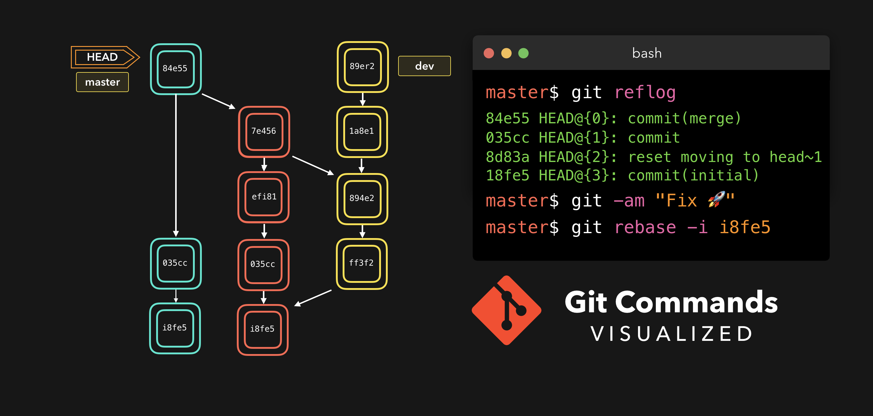 Cover image for 🌳🚀 CS Visualized: Useful Git Commands